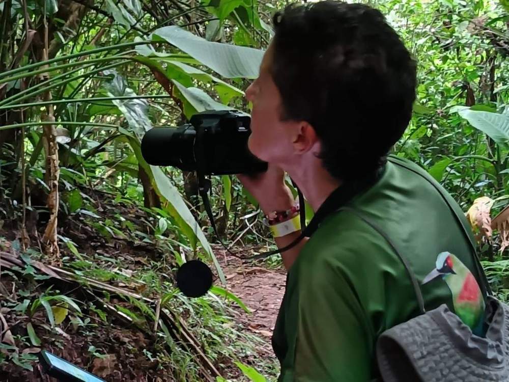 Birdwatching in Cerro Azul Meámbar National Park